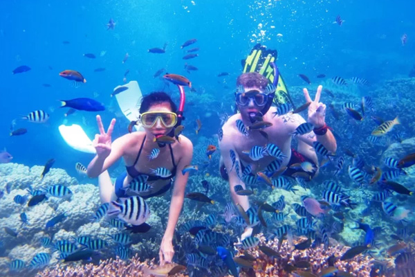 Snorkeling in Coral Reef with Arisma Lovina Dolphin Tour | Bali Dolphin Tour Package