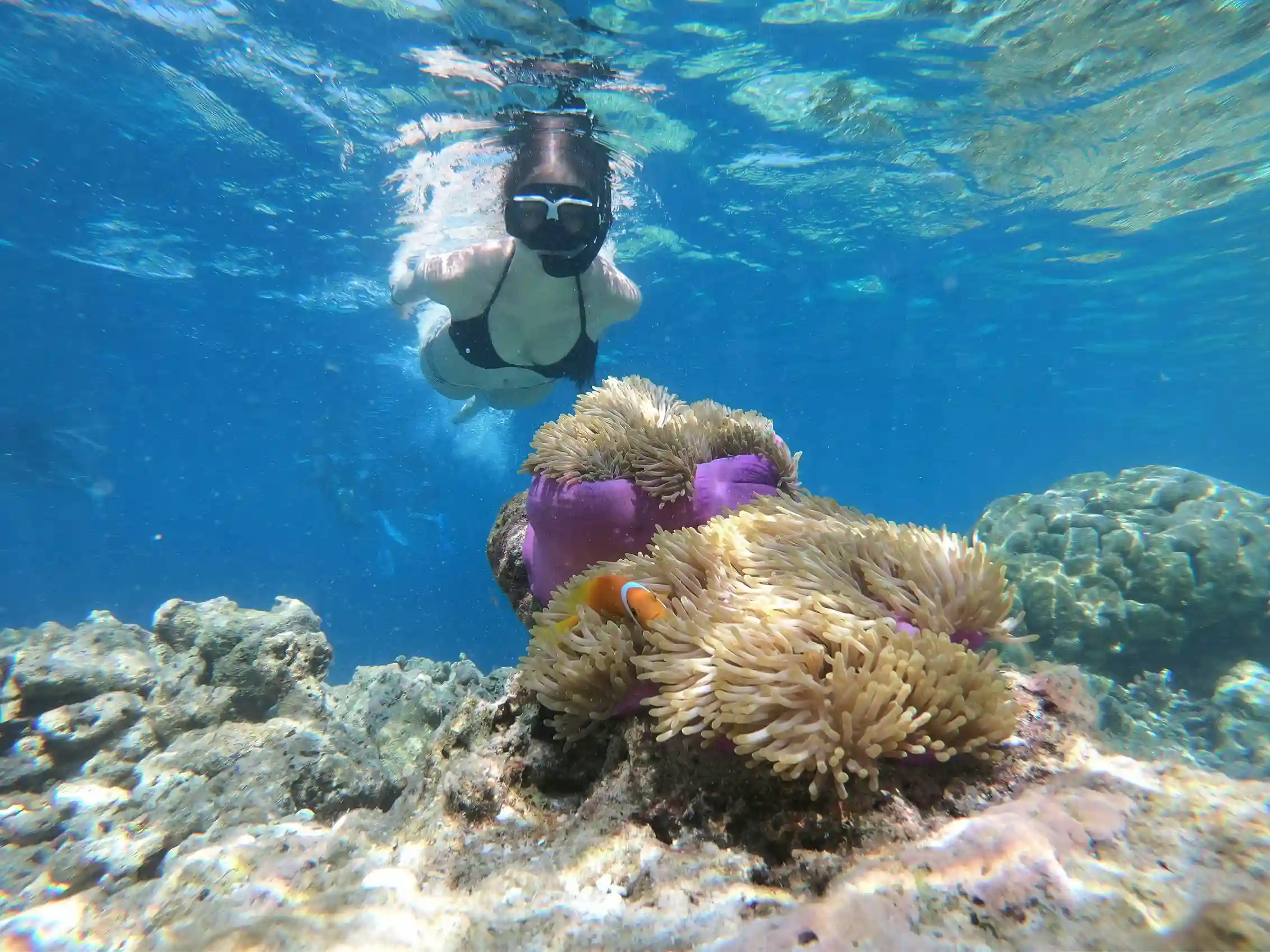 Snorkeling at Lovina | Arisma Lovina Dolphin Tour Package