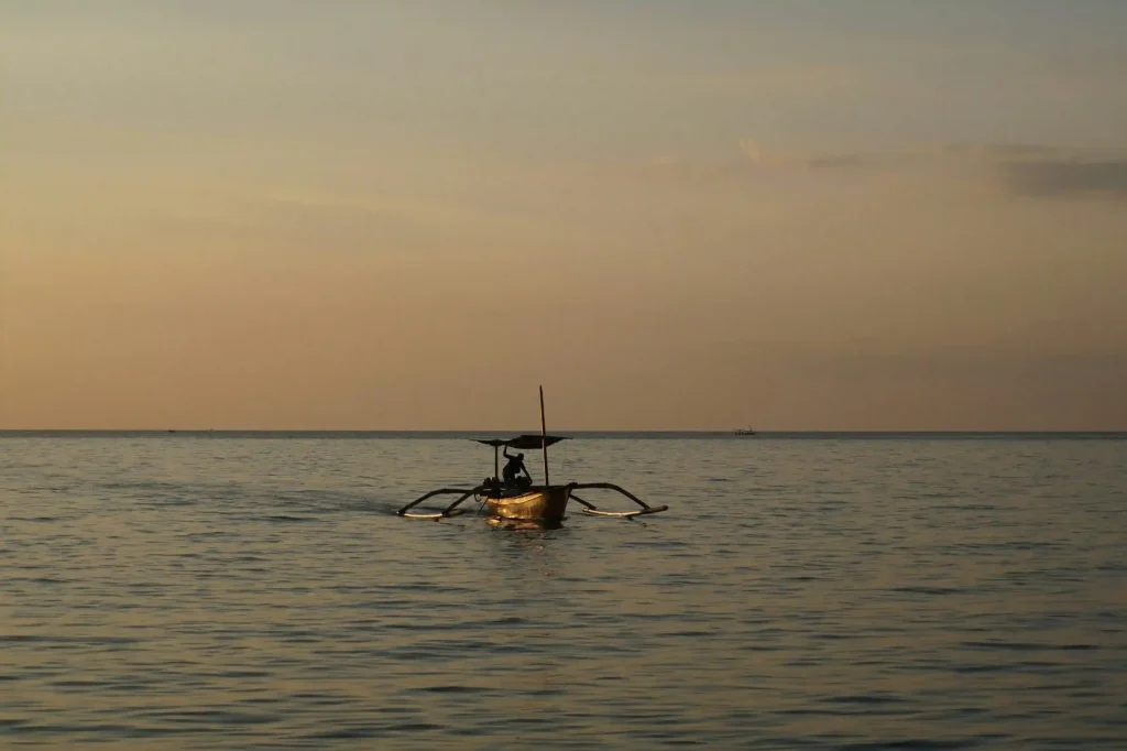 Lovina Dolphin Tour | Arisma Lovina Dolphin | Bali Dolphin Tour