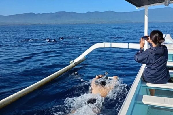 Swimming with Dolphin by Arisma Lovina Dolphin Tour | Bali Dolphin Tour Package