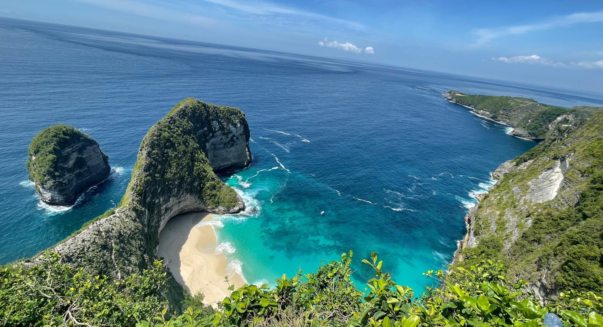 Giant Coral Colony Discovered in Nusa Penida: A Testament to Nature’s Extraordinary Beauty